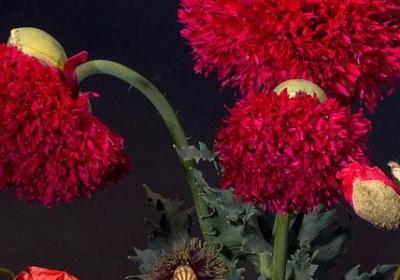 结婚纪念日的唯美句子发朋友圈(合集40句)