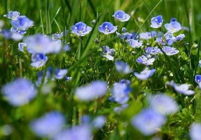 约吃饭的经典句子(共51句)