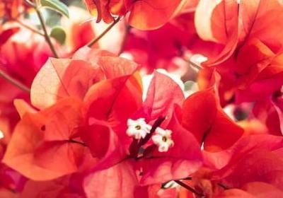 给女人洗脑的句子(热门50句)