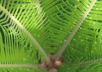 缅怀故人的经典句子(必备60句)