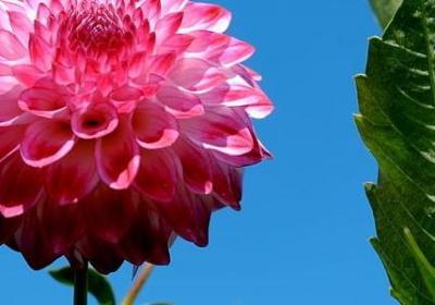 经典人生的句子(精选70句)