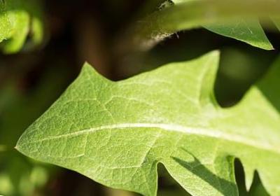 累了一天的句子(汇总90句)