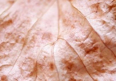 给自己正能量的句子(优选90句)