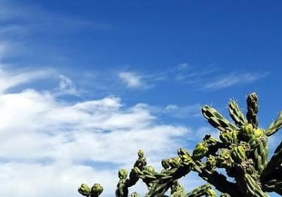 细心的句子(优选7句)