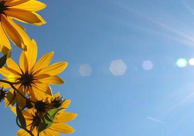 红色衣服的经典句子(优选70句)