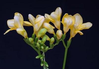 给朋友的句子(必备50句)