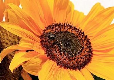 给老公说晚安的句子(汇总60句)