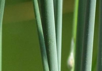 累的句子说说心情(11句)