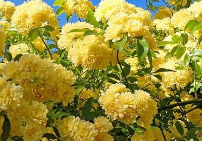 给老婆道歉的句子(合集55句)