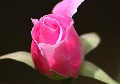 累并快乐的句子(热门40句)