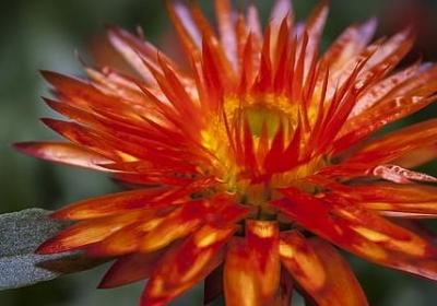 经典暧昧的句子(实用50句)