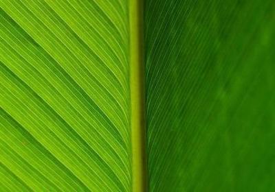 累了一天了安慰的句子(热门50句)