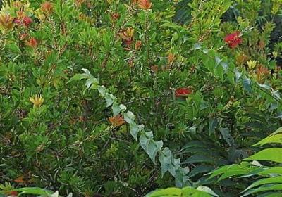 纪念过世父亲的句子(通用50句)