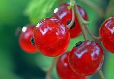 纪念日的句子(合集50句)