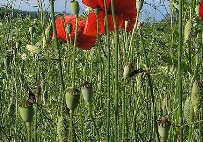 给老师留言的暖心句子(汇总40句)