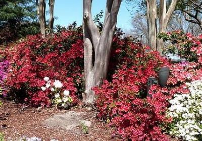 给婴儿的寄语唯美句子(必备70句)