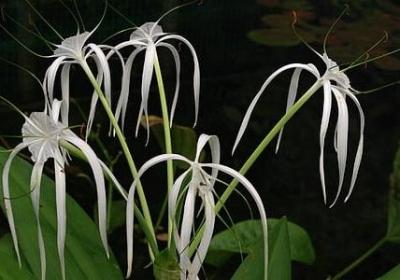 纪念一周年爱情的句子(优选50句)