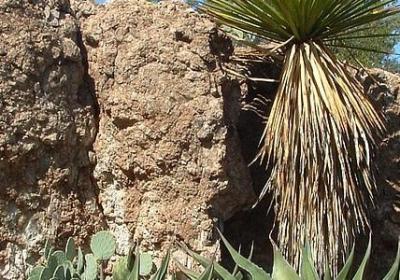 缩写句子的方法(精选50句)