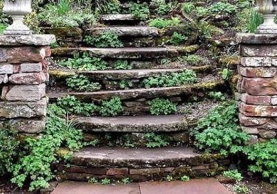 细节描写的句子50字(50句)