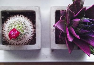 经典的英语句子(合集40句)