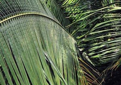 给自己希望的句子(必备40句)