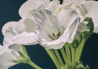 缘聚缘散的句子(60句)