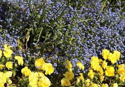 美丽的校园优美句子(汇总11句)