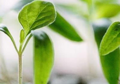 纪念青春的句子(优选50句)