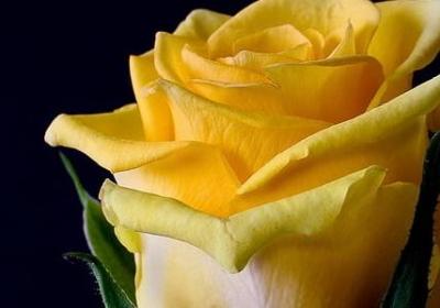 缩写句子的方法顺口溜(共46句) 缩写句子的方法顺口溜(共46句)