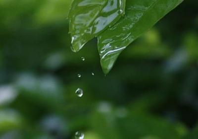 累了怎么安慰人的句子(通用50句) 累了怎么安慰人的句子(通用50句)