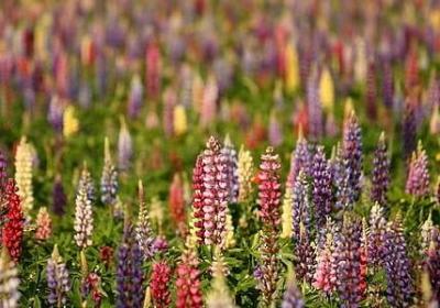 给自己一个坚持的句子(推荐70句) 给自己一个坚持的句子(推荐70句)