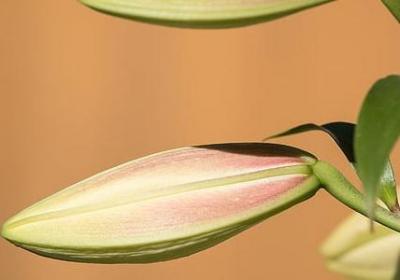 累并快乐着的句子(优选10句) 累并快乐着的句子(优选10句)