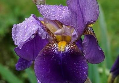 给老婆说早安的句子(通用60句) 给老婆说早安的句子(通用60句)