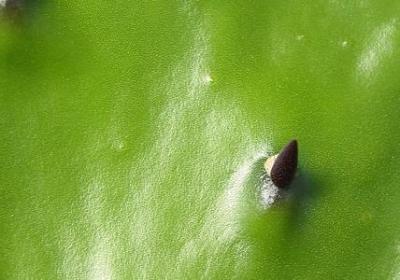 结婚纪念日的唯美句子(汇总50句) 结婚纪念日的唯美句子(汇总50句)