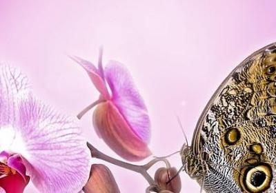 缩写句子的方法和技巧(优选41句) 缩写句子的方法和技巧(优选41句)