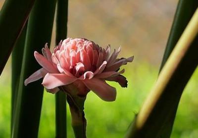 美丽的英语句子(合集40句) 美丽的英语句子(合集40句)