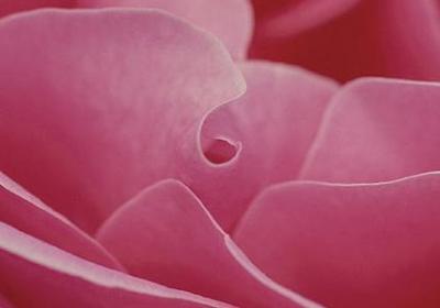 给人希望的句子(汇总60句) 给人希望的句子(汇总60句)