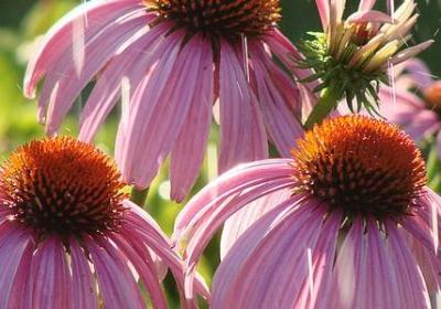 给老公承认错误的句子(汇总79句) 给老公承认错误的句子(汇总79句)