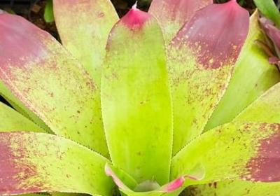 给自己一次机会的句子(热门40句) 给自己一次机会的句子(热门40句)