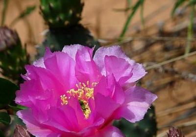 维护公司利益的句子(精选60句)