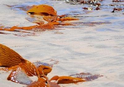 累了不想说话的句子(80句)