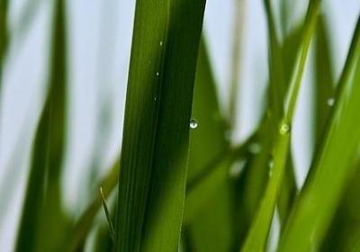 约的句子(合集60句)