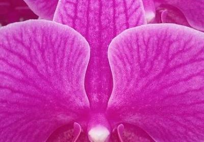 细节决定爱情的句子(50句)