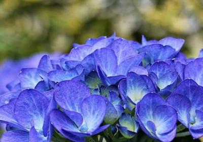 背后讲究人的句子(必备50句)