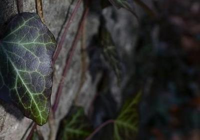 腿疼的句子(合集50句)