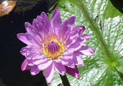 美好人生的句子(通用40句)