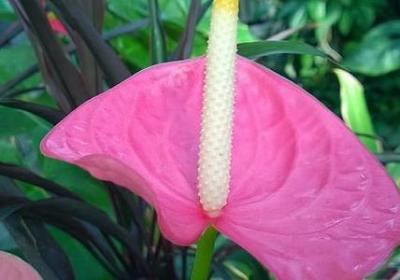 胖子的幽默句子(共50句)