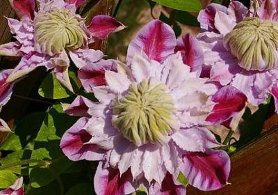 老师工作辛苦的句子(共10句)