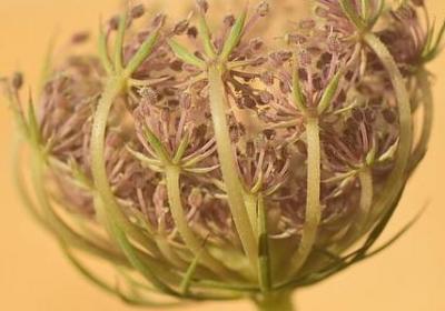 自嘲的句子幽默(69句)