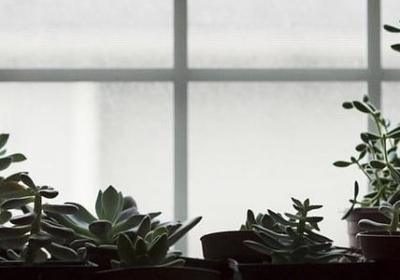 美好的风景句子(热门40句)